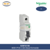 EZ9F34106 Schneider