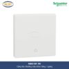 kbn31bp-we-schneider