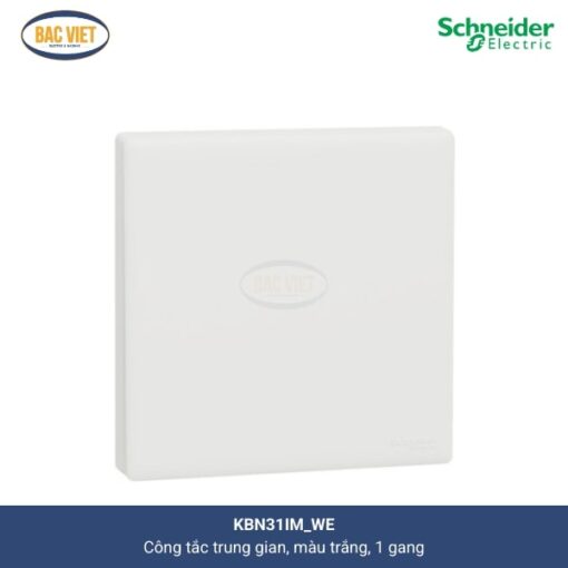 kbn31im-we-schneider