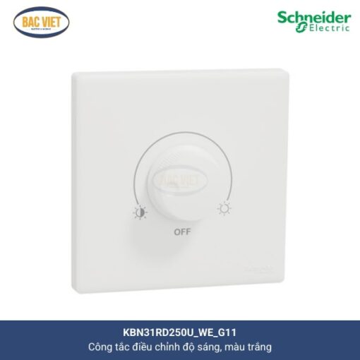 kbn31rd250u-we-g11-schneider