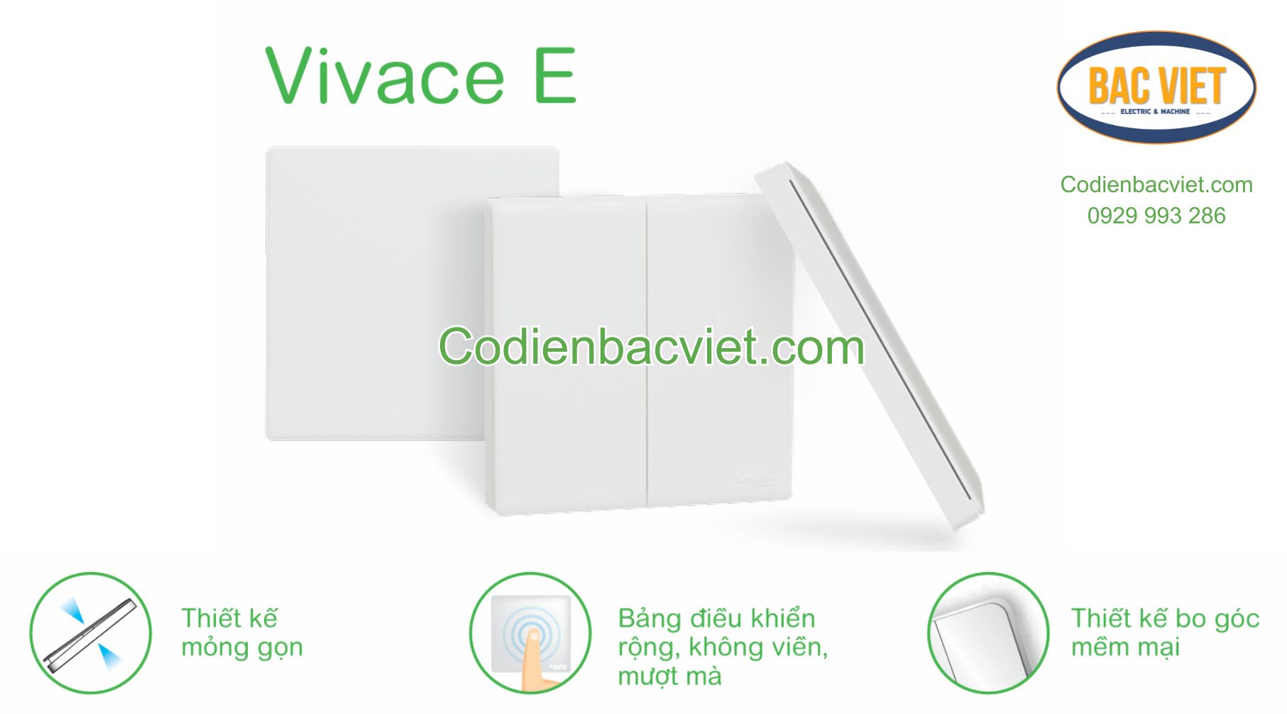 vivace-e-schneider