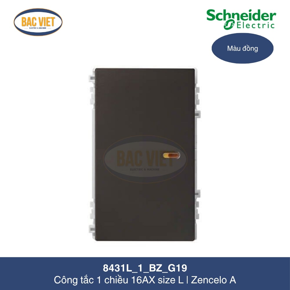 8431L_1_BZ_G19-schneider