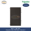 8431L_2_BZ_G19-schneider