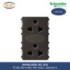 84426LUES2_BZ_G19-schneider