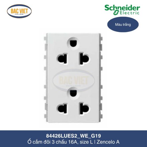 84426LUES2_WE_G19-schneider