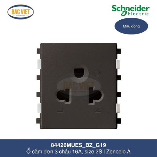 84426MUES_BZ_G19-schneider