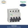 ezf34463-schneider
