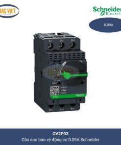 gv2p03-schneider