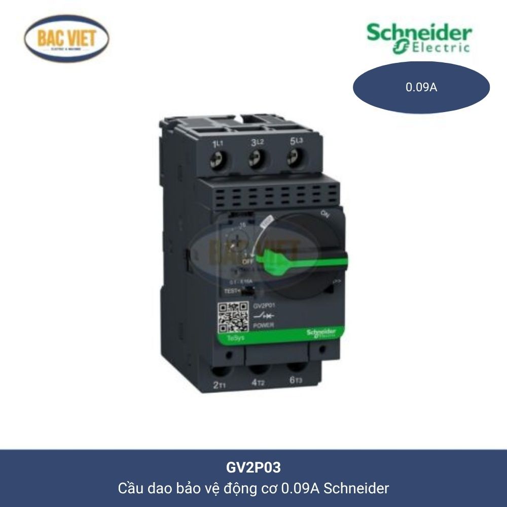 gv2p03-schneider