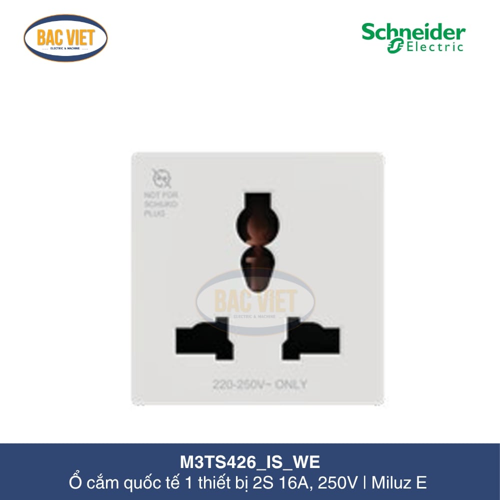 m3ts426-is-we-schneider