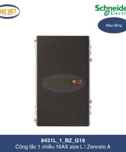 8431L_1_BZ_G19-schneider