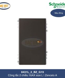 8431L_2_BZ_G19-schneider