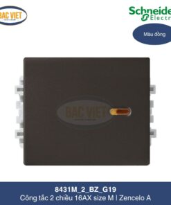 8431M_2_BZ_G19-schneider