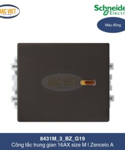 8431M_3_BZ_G19-schneider