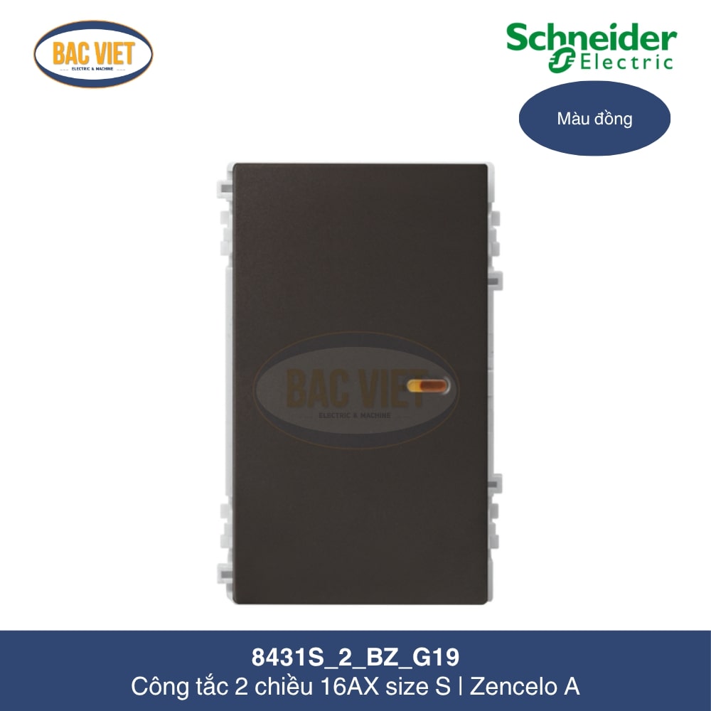 8431S_2_BZ_G19-schneider
