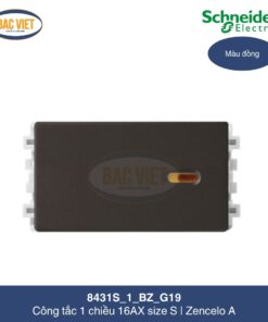 8431s-1-bx-g19-schneider