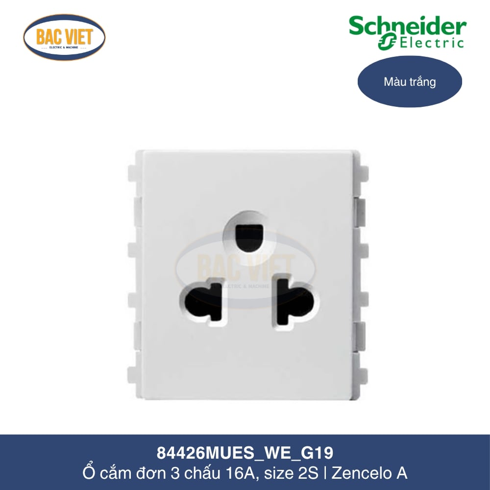 84426MUES_WE_G19-schneider