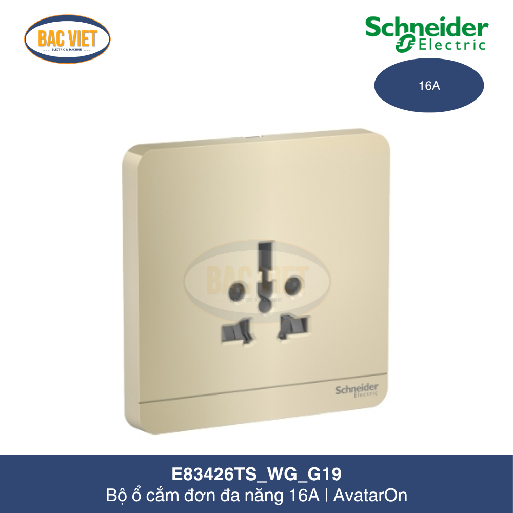 E83426TS_WG_G19-schneider