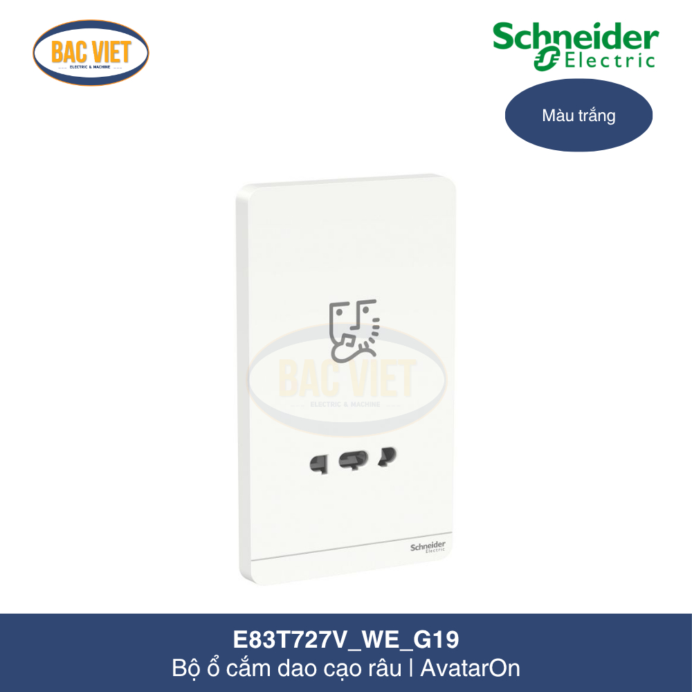 E83T727V_WE_G19-schneider