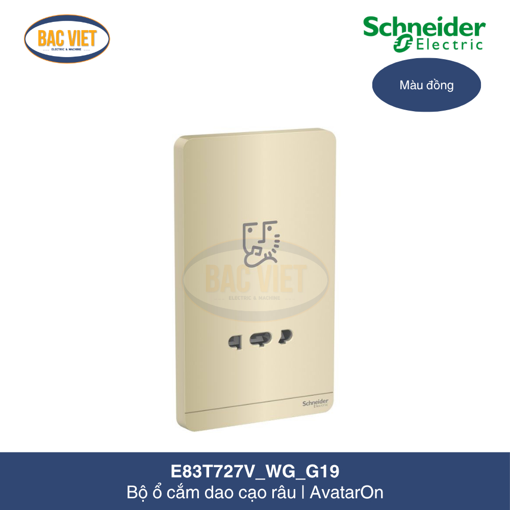 E83T727V_WG_G19-schneider