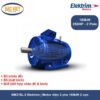 EM315L-2 Elektrim _ Motor điện 3 pha 185kW 2 cực