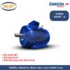 EM355L-4 Elektrim Motor điện 3 pha 315kW 4 cực