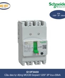 g12f3a50-schneider