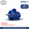 EM315S-4 Elektrim Motor điện 3 pha 110kW 4 cực